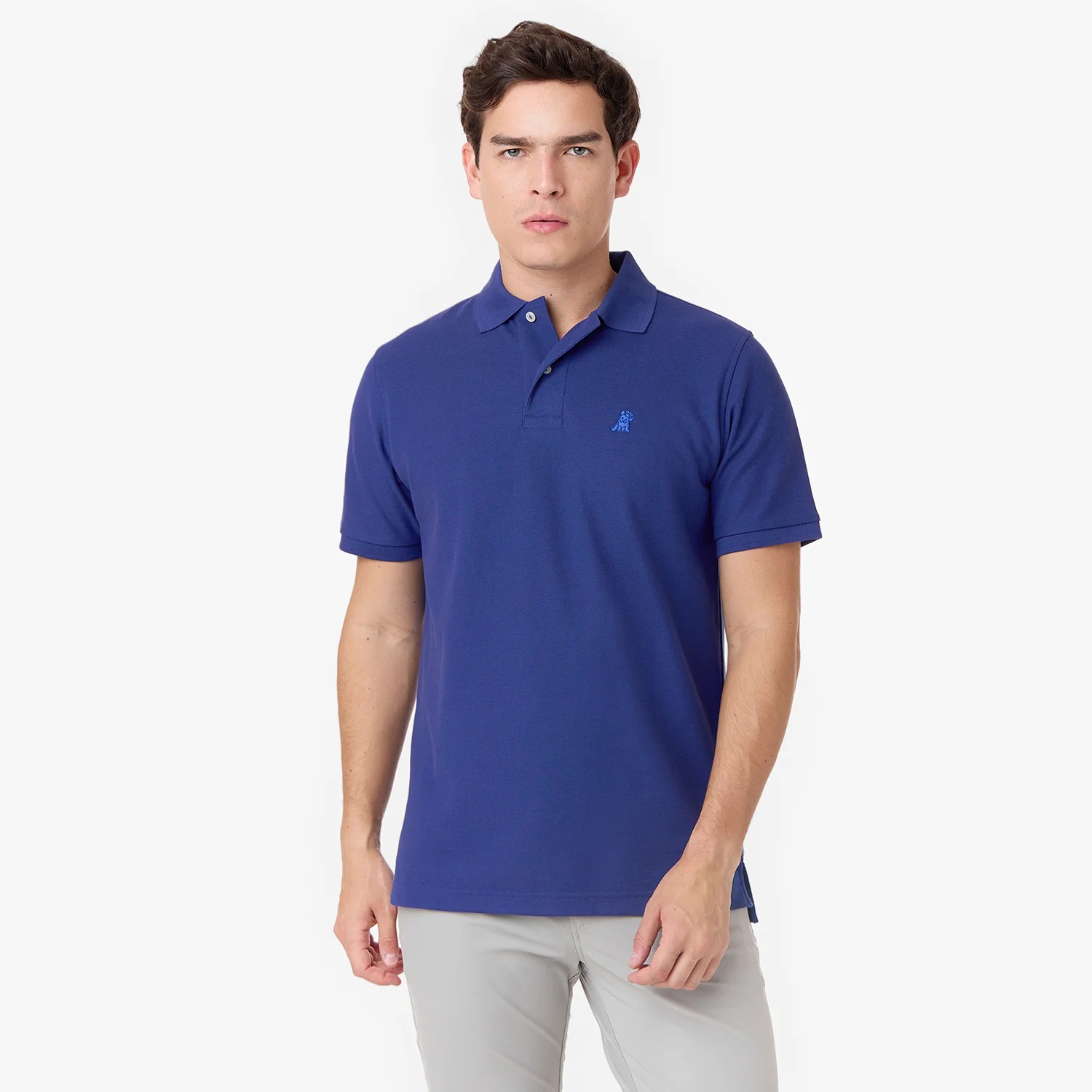 Men's Regular Fit Polo Shirt 3